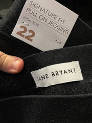 Lane Bryant Jeans