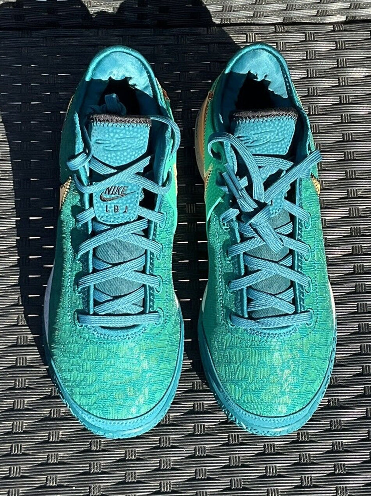 Nike LeBron NXXT Gen Geode Teal DR8784-301 Size 9